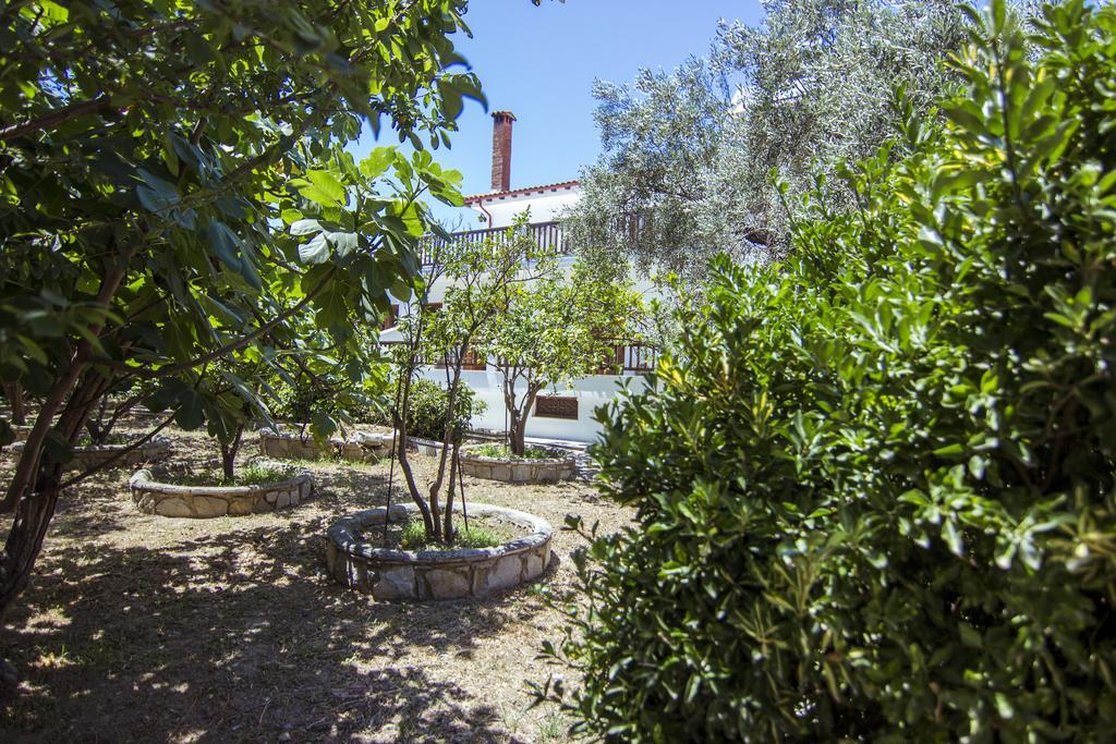 Naftilos Skiathos Extérieur photo